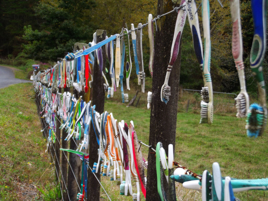 rural toothbrush fence