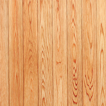 Cedar wood fence