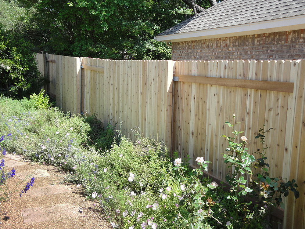 Wooden fence behind a garden path