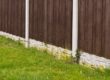 grass along fence
