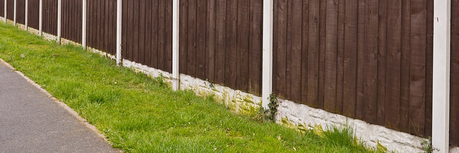 grass along fence