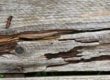wood fence planks