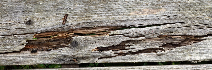 wood fence planks