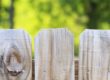 shared fence in yard