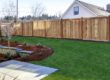 austin yard in summer