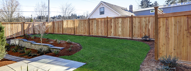 fenced backyard in pflugerville